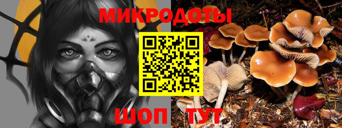 Галлюциногенные грибы мицелий  Галлюциногенные грибы прущие грибы  Нововоронеж  Вход с VPN 